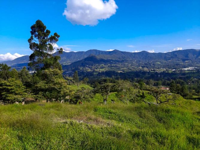Lote en venta en Fatima, La Ceja · foto 3 de 5