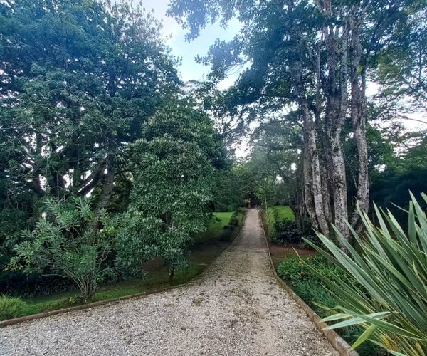 Finca en venta en El Carmen De Viboral, El Carmen de Viboral, 400 m² · foto 15 de 16