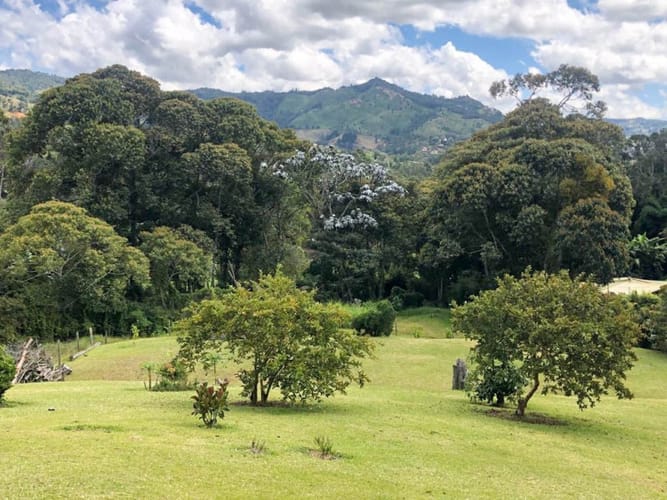 Finca en venta en Pantanillo, El Retiro, 420 m² · foto 9 de 16