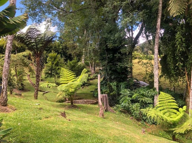Finca en venta en Pantanillo, El Retiro, 420 m² · foto 13 de 16