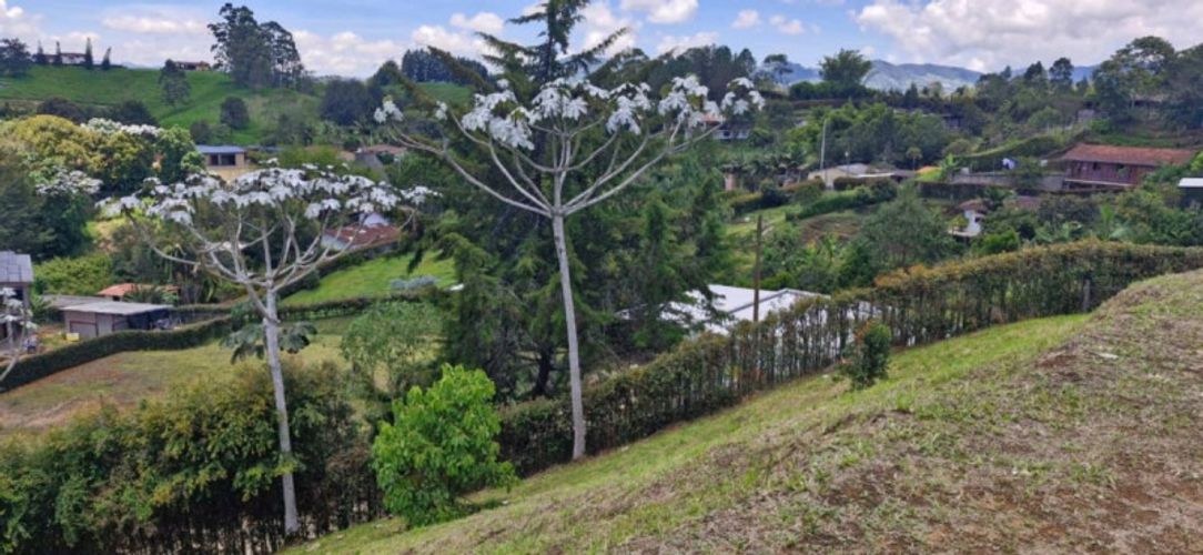 Lote en venta en Quirama, El Carmen de Viboral, 2527 m² · foto 7 de 7