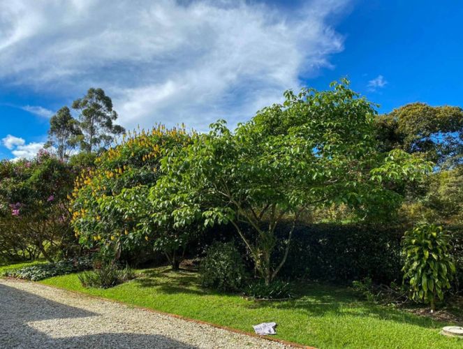 Finca en arriendo en Guamito, La Ceja, 320 m² · foto 3 de 24