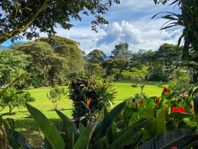 Finca en arriendo en Guamito, La Ceja, 320 m² · foto 18 de 24