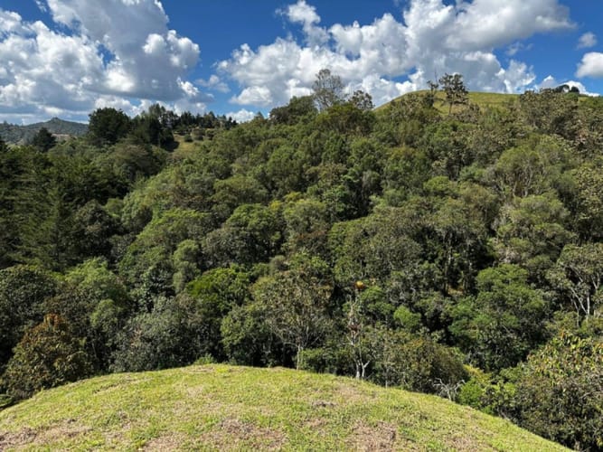 Lote en venta en Pantanillo, El Retiro, 8160 m² · foto 5 de 8