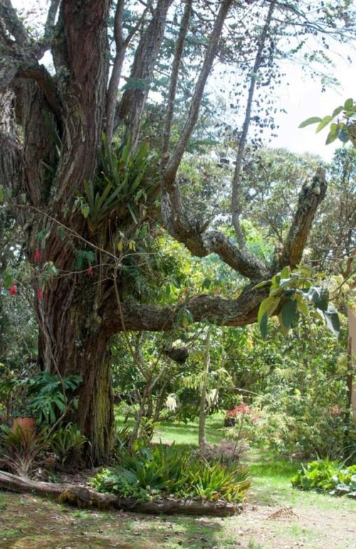 Finca en venta en Santa Elena, Medellín, 367 m² · foto 19 de 24