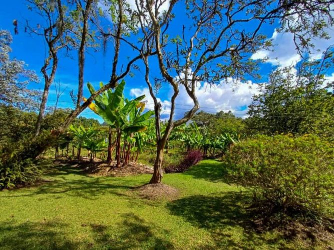 Finca en venta en Galicia, Rionegro, 250 m² · foto 5 de 24