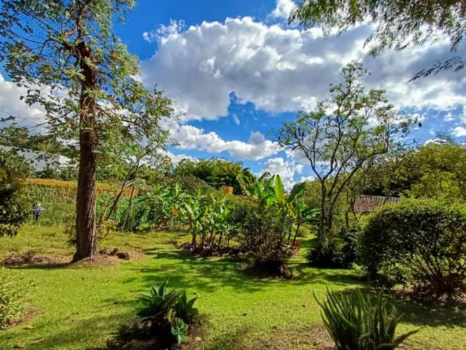 Finca en venta en Galicia, Rionegro, 250 m² · foto 10 de 24