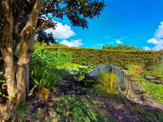 Finca en venta en Galicia, Rionegro, 250 m² · foto 12 de 24