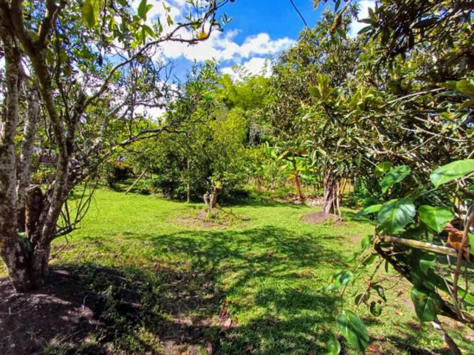 Finca en venta en Galicia, Rionegro, 250 m² · foto 13 de 24