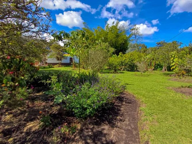 Finca en venta en Galicia, Rionegro, 250 m² · foto 14 de 24