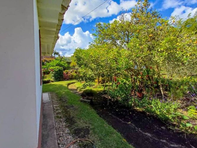 Finca en venta en Galicia, Rionegro, 250 m² · foto 15 de 24