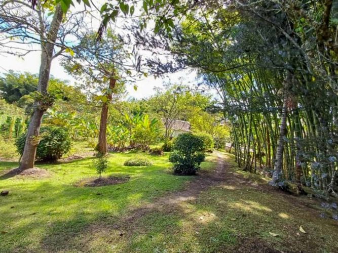 Finca en venta en Galicia, Rionegro, 250 m² · foto 16 de 24