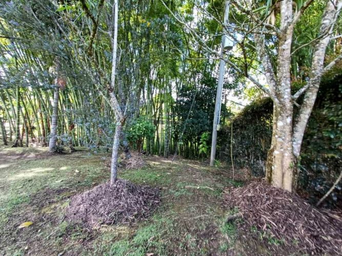 Finca en venta en Galicia, Rionegro, 250 m² · foto 17 de 24