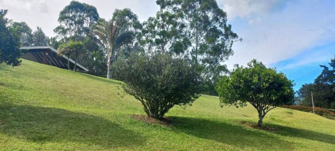 Finca en venta en Llano Grande, Rionegro, 350 m² · foto 4 de 24