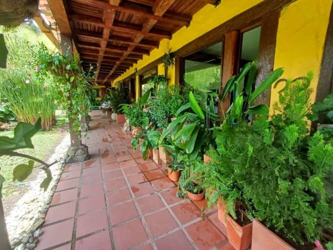 Finca en arriendo en Centro, Rionegro, 288 m² · foto 3 de 24