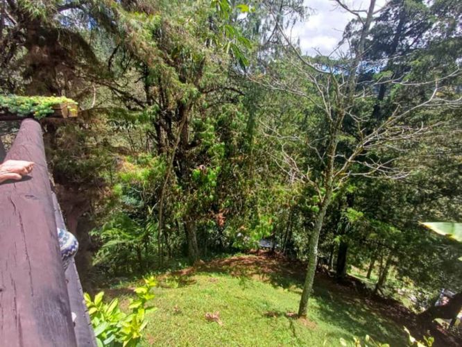 Finca en arriendo en Centro, Rionegro, 288 m² · foto 5 de 24