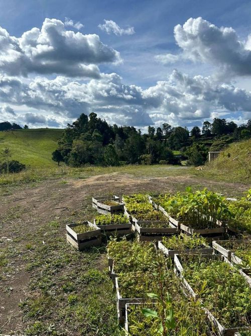 Lote en venta en Pantanillo, El Retiro, 2082 m² · foto 4 de 10