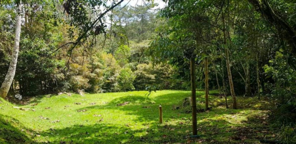 Finca en venta en El Carmen, El Retiro, 430 m² · foto 13 de 14
