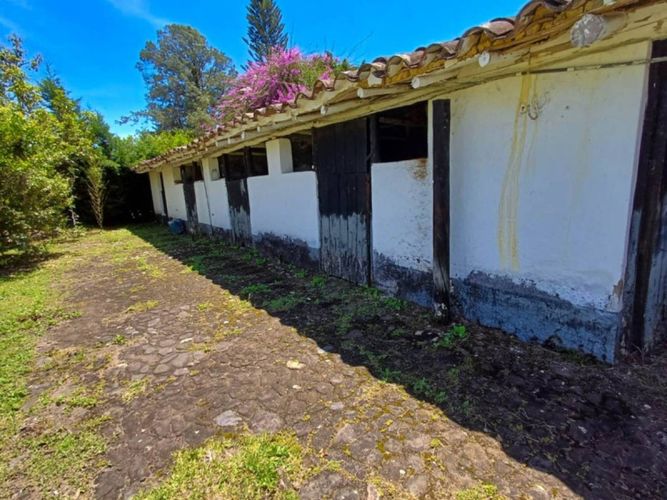 Finca en arriendo en Llano Grande, Rionegro, 500 m² · foto 6 de 24