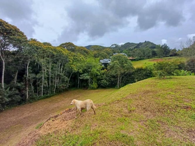 Finca en arriendo en San Nicolas, La Ceja, 264 m² · foto 9 de 24