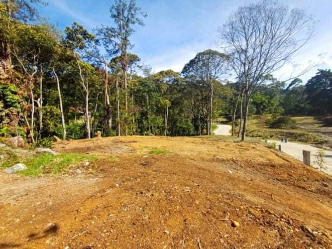 Lote en venta en Guayabito, Rionegro, 1160 m² · foto 2 de 12