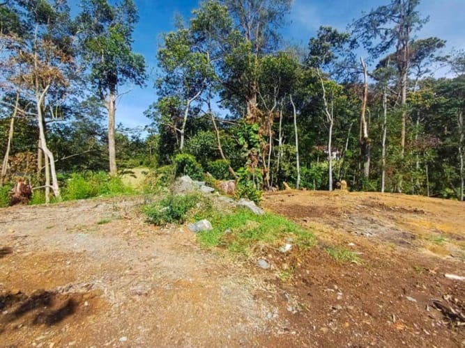 Lote en venta en Guayabito, Rionegro, 1160 m² · foto 4 de 12