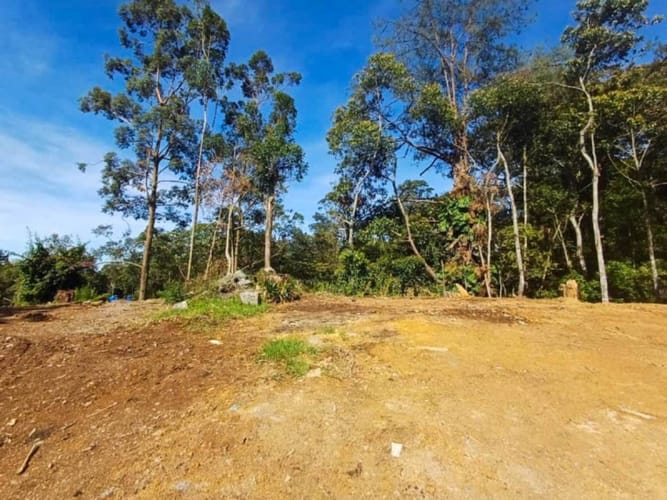 Lote en venta en Guayabito, Rionegro, 1160 m² · foto 6 de 12