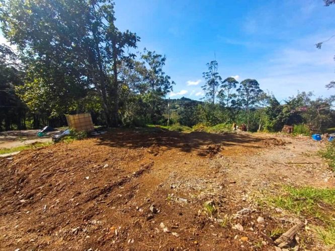 Lote en venta en Guayabito, Rionegro, 1160 m² · foto 7 de 12