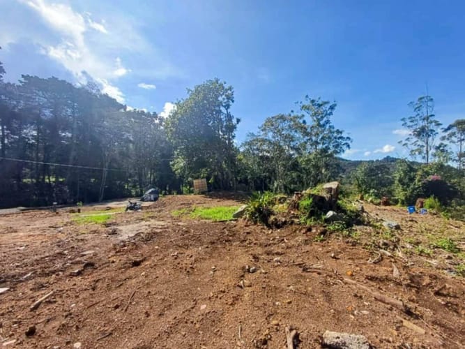 Lote en venta en Guayabito, Rionegro, 1160 m² · foto 9 de 12