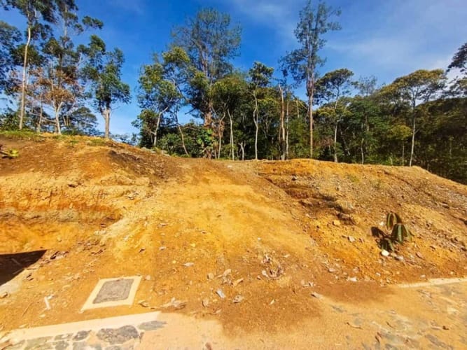 Lote en venta en Guayabito, Rionegro, 1160 m² · foto 10 de 12