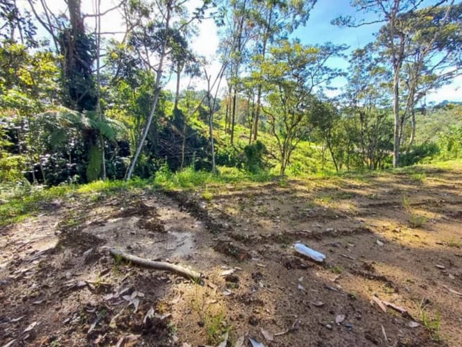 Lote en venta en Guayabito, Rionegro, 2192 m² · foto 6 de 10