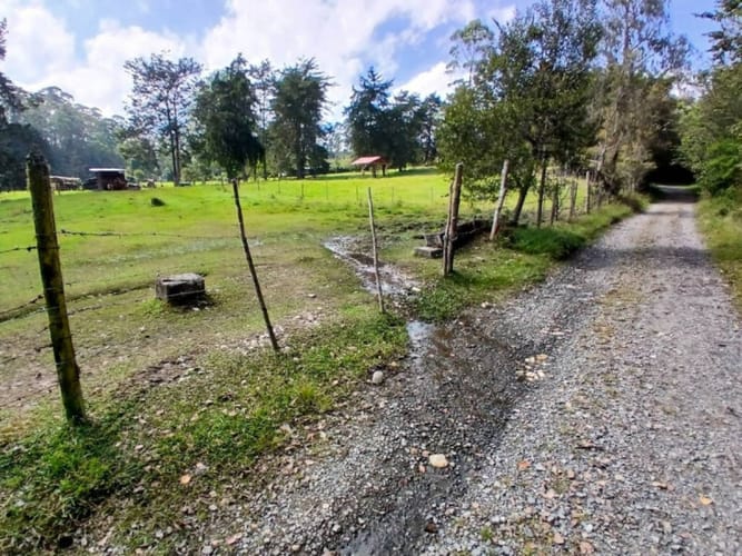 Lote en venta en Pantanillo, El Retiro, 7540 m² · foto 6 de 17