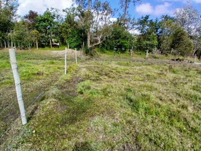 Lote en venta en Pantanillo, El Retiro, 7540 m² · foto 7 de 17