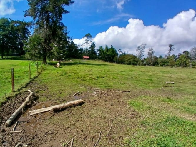 Lote en venta en Pantanillo, El Retiro, 7540 m² · foto 8 de 17