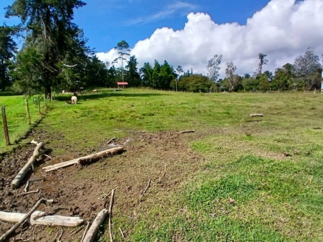 Lote en venta en Pantanillo, El Retiro, 7540 m² · foto 10 de 17