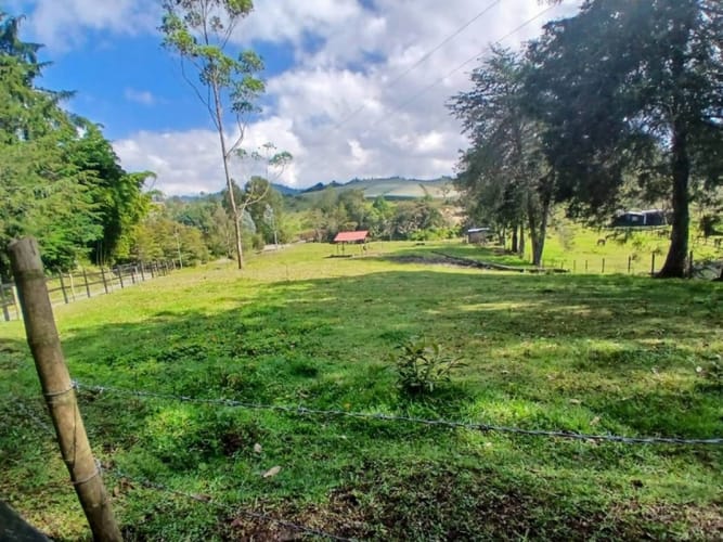 Lote en venta en Pantanillo, El Retiro, 7540 m² · foto 17 de 17