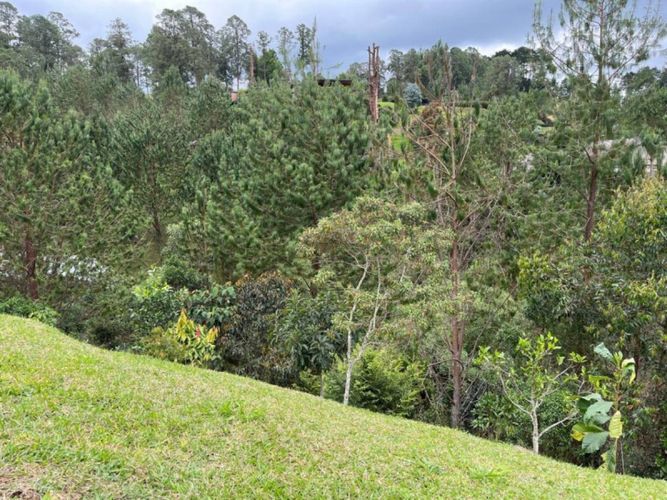 Lote en venta en Don Diego, El Retiro, 6 m² · foto 5 de 8