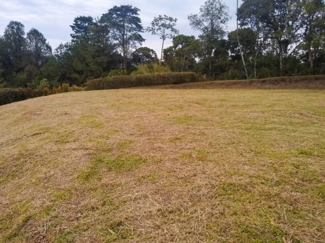 Lote en venta en Pantanillo, El Retiro, 2537 m² · foto 17 de 24