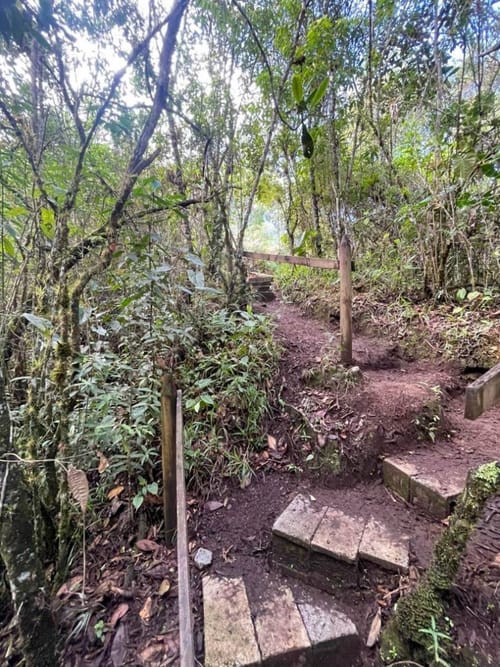 Lote en venta en Pantanillo, El Retiro, 2537 m² · foto 20 de 24