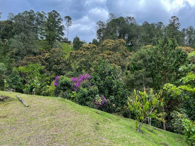 Lote en venta en El Portento, El Retiro, 6400 m² · foto 6 de 21