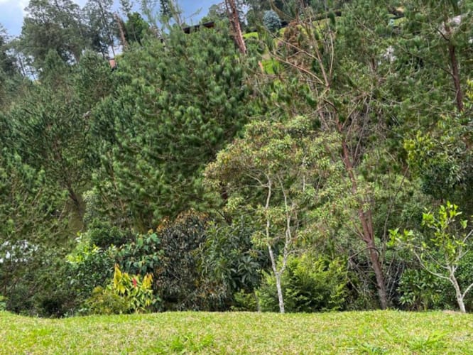 Lote en venta en El Portento, El Retiro, 6400 m² · foto 10 de 21