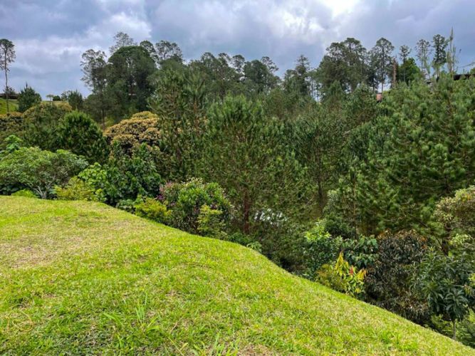 Lote en venta en El Portento, El Retiro, 6400 m² · foto 11 de 21