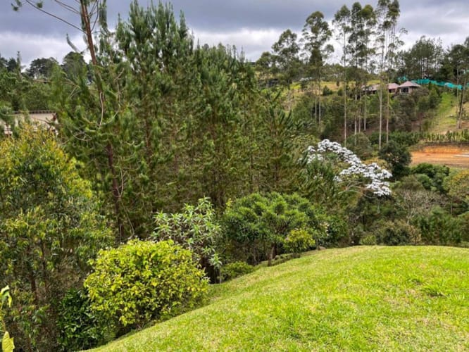 Lote en venta en El Portento, El Retiro, 6400 m² · foto 12 de 21