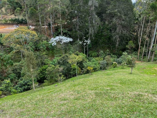 Lote en venta en El Portento, El Retiro, 6400 m² · foto 14 de 21