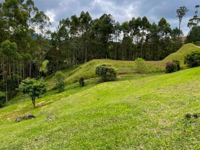 Lote en venta en El Portento, El Retiro, 6400 m² · foto 16 de 21