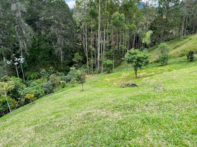 Lote en venta en El Portento, El Retiro, 6400 m² · foto 19 de 21