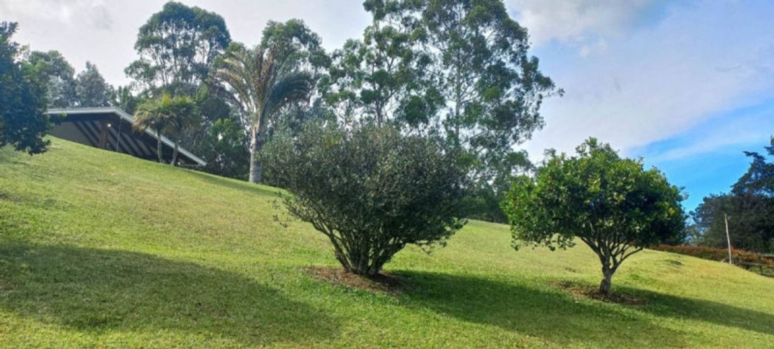 Finca en venta en Llano Grande, Rionegro, 350 m² · foto 4 de 24