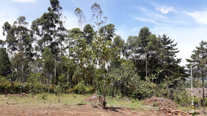 Lote en venta en El Porvenir, Rionegro · foto 2 de 17