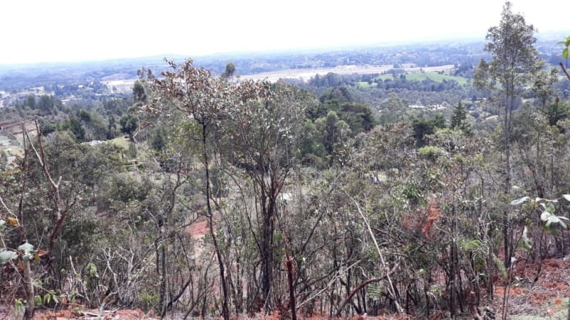 Lote en venta en El Porvenir, Rionegro · foto 3 de 17