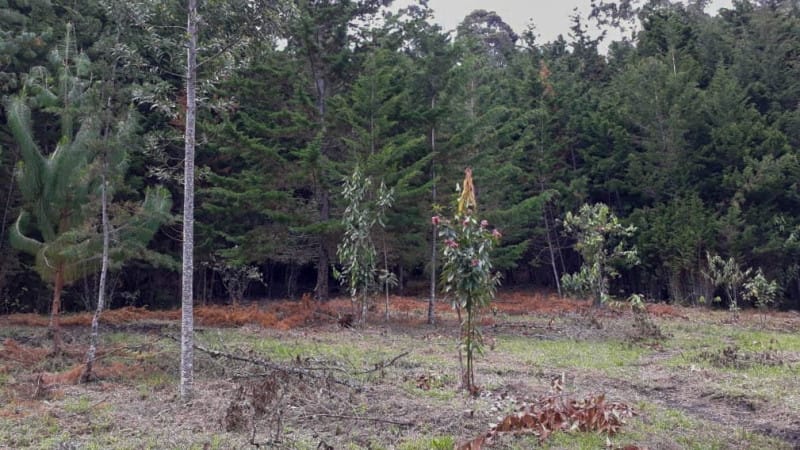 Lote en venta en El Porvenir, Rionegro · foto 13 de 17